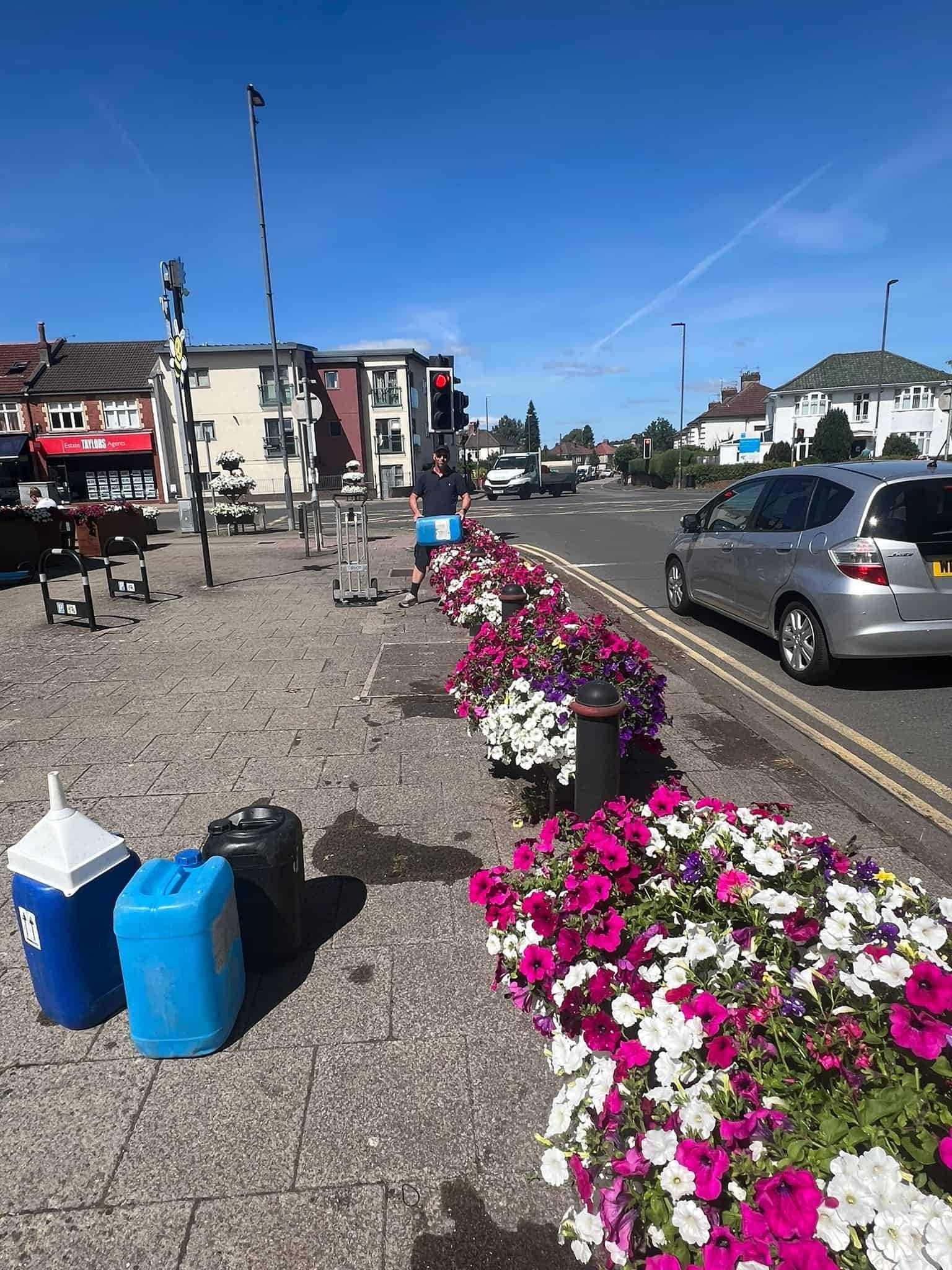 Summer flower display in bloom in Downend