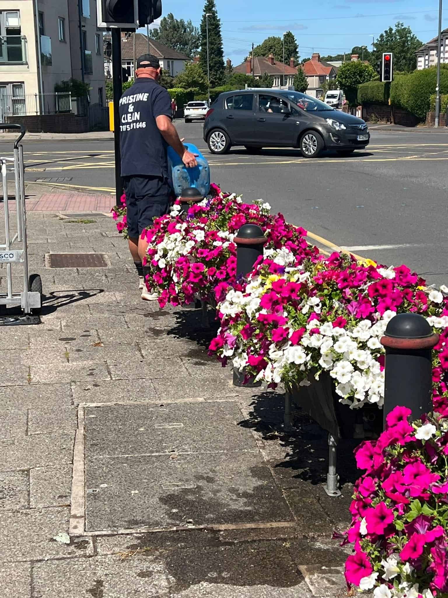Pristine and Clean team member watering a summer flower display for Downend and Bromley Heath in Bloom